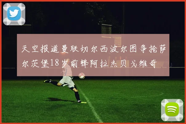 天空报道曼联切尔西波尔图争抢萨尔茨堡18岁前锋阿拉杰贝戈维奇
