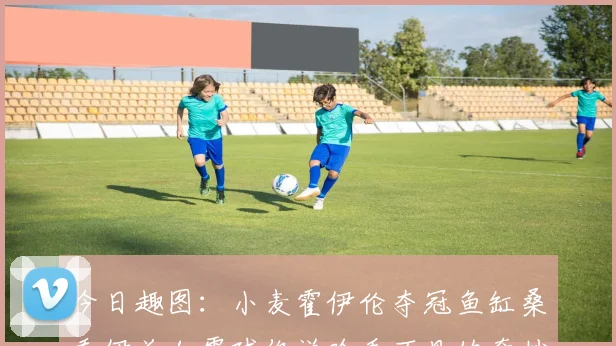 今日趣图：小麦霍伊伦夺冠鱼缸桑乔伊兰加零球你说啥看不见的奇妙瞬间