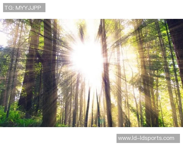 里德寄语年轻人：调整心态别自我否定学会宽容对待自己